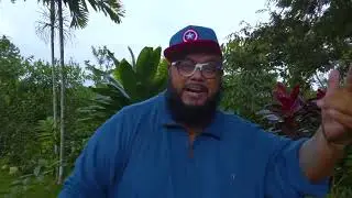 GUARDIAN ANGEL X VICTOR RUDEBOY - WASAMEHE