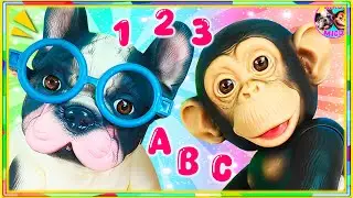 📚 PRIMER DÍA en la ESCUELA del MONO MICO 🐵 BACK TO SCHOOL 🏫
