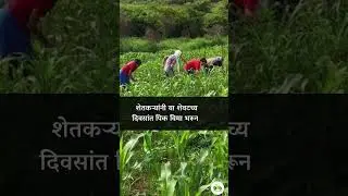 एक कोटी दहा लाख शेतकऱ्यांनी पिक विमा भरला आहे, यासाठी शेवटचे तीन दिवस उरले आहेत.