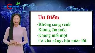 Giới thiệu lam gỗ nhựa ngoài trời TecWood