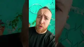 Зоофилия в Испании