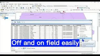 How to turn off and on of field in ArcGIS attribute table: Necessary for data cleaning