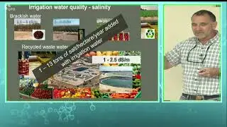 ד