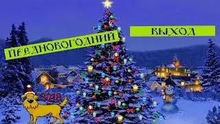 Предновогодний выход