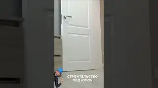 Межкомнатные двери покрытые эмалью из массива различных пород дерева строительство short #shorts