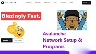 Avalanche Network Setup & Programs