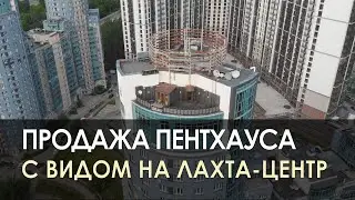 Купить пентхаус с видом на Лахта-центр