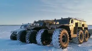 Хищниками на Байдарацкую губу