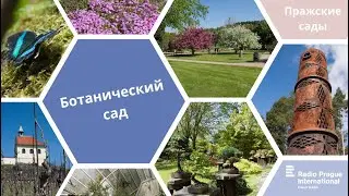 Ботанический сад