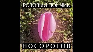 N  Носорогов РОЗОВЫЙ ПОНЧИК (фрагмент песни).