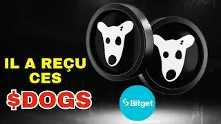 Les pieces $DOGS sont envoyées sur BITGET