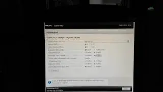 Embedded video controller is disabled - PowerEdge R240