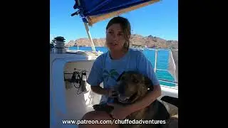 Boat Recon in Remote Village Continues to Help Animals! #saveanimals #sailing #remotework