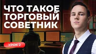 Что такое торговый советник. Тестирование роботов