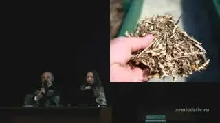Выращивание земляники