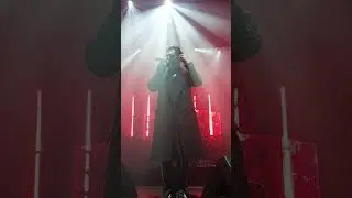 JONY & МОТ - лилии