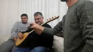 Halo berzi