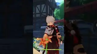 genshin impact facts about windwheel aster