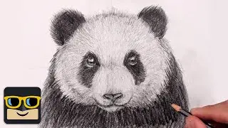 How To Draw a Panda | Sketch Tutorial