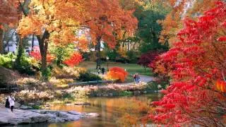 Chopin-Prelude n.20