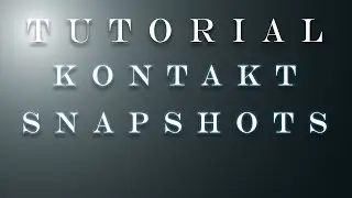How To Use The Kontakt Snapshot Presets | With Elements