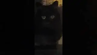 Вот это поворот