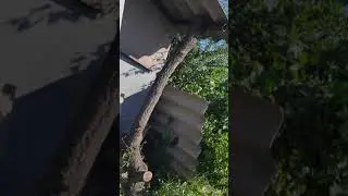 Мой двор.Июнь 2021