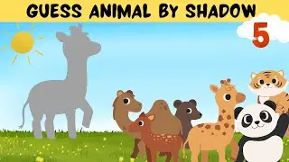 Fun Animal Shadow Matching Game for Kids | Educational & Interactive Learning
