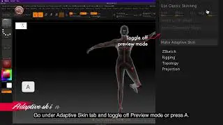 ZB_18.30 | If you don't see your Layers in your rigged model, check if you are in Preview mode.