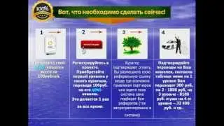 Презентация проекта Baksik MLM