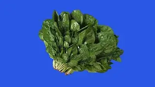 green screen 3D & rotated spinach /ANIMATION 3D spinach/ rotated vegetable green screen