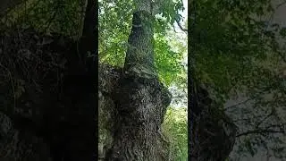 Давно не была, глазам не поверила!