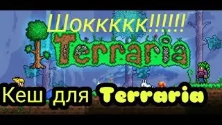 Как установить кеш для Террарии? [Туториал]