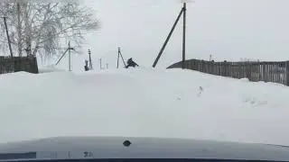Бармы тыуған яҡҡа ҡайтҡаның?