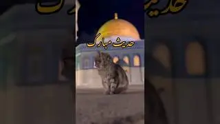 hadees sharif || hadees in urdu || hazrat muhammad saw #shorts #viral #trending #hadeesshraif