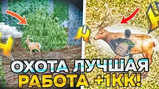 ОХОТА - САМАЯ ЛУЧШАЯ РАБОТА в RADMIR RP / HASSLE ONLINE 💸