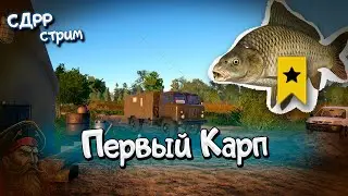 Ловлю своего первого КАРПА. Медвежье. ( Русская рыбалка 4 )