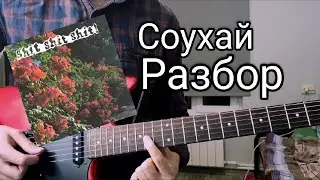 SHIT SHIT SHIT - СОУХАЙ РАЗБОР
