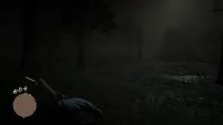 Red Dead Redemption 2- The ghost of Agnes Dowd (Easter Egg)