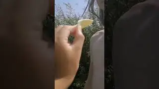 ситуация на речке