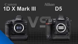 Canon EOS 1D X Mark III vs Nikon D5