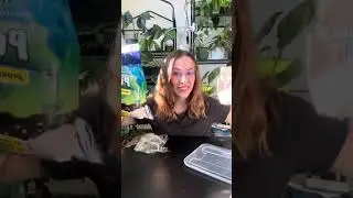 Čo je to Rašelinník, Perlit, Keramzit a Píniová kôra?