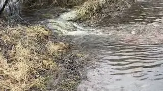 На прогулянці ))