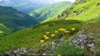 ЧЕННЕЛИНГ.  Абхазия.  Часть 1.