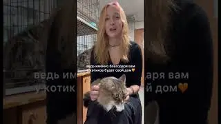 Оставили подробную историю о борьбе за собственное большое здание приюта Матроскин в комментариях