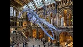 Crash course on United Kingdom (UK): Art and Museums@anhubmetaverse2457