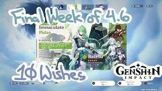Final week of Baizhu rerun banner; 10 pulls [Genshin 4.6 Week 6]