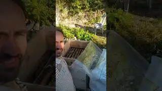 İLGİ ,BİLGİ VE SONUÇ #honey #beekeeping #petek