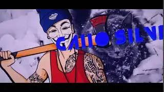 intro para caiio silver