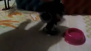 Песня Lps: кружит!!!😘😘😘😍😍😍